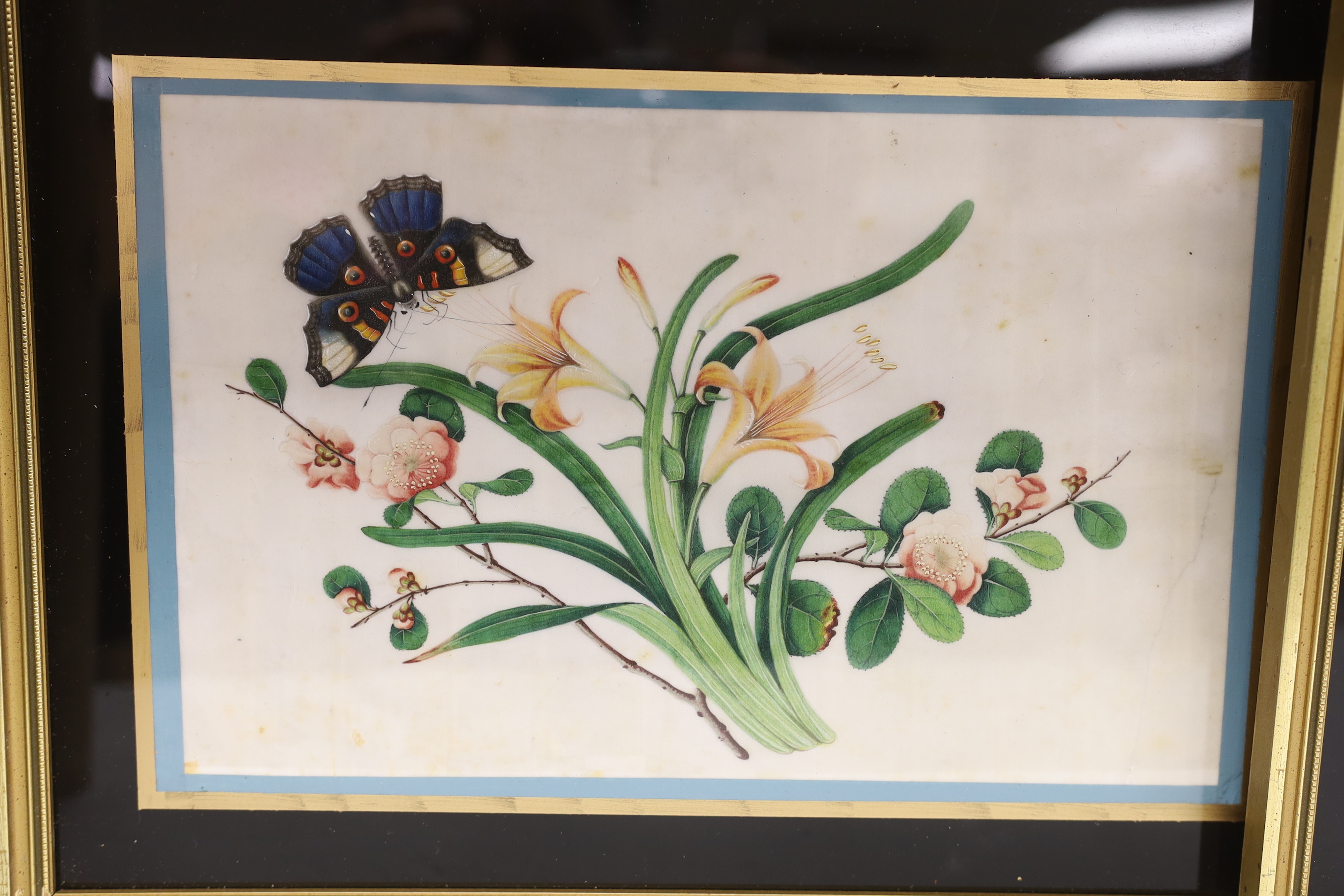 19th century Chinese school, pair of pith paper paintings, Still lifes of flowers, 16.5 x 25cm